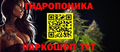 альфа пвп Новодвинск