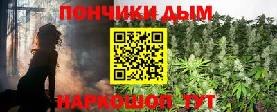 альфа пвп Новодвинск