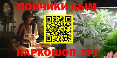 альфа пвп Новодвинск