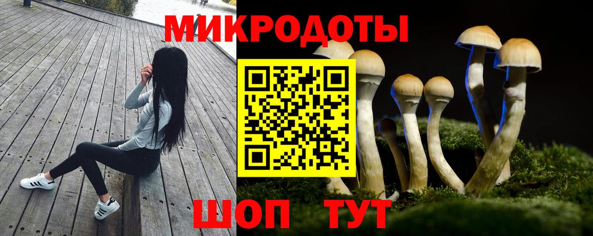 Галлюциногенные грибы Psilocybe Тула